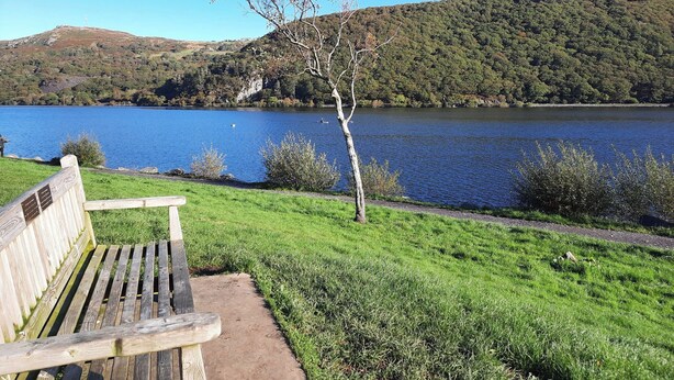 A bench overlooking a lake with a forested hill in the background.