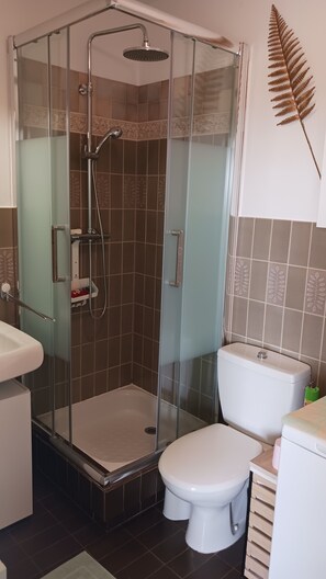 Shower, towels, soap, toilet paper