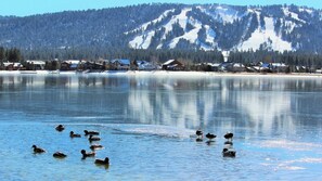 Exterior - Spacious 3BR Chalet (Big Bear Lake)