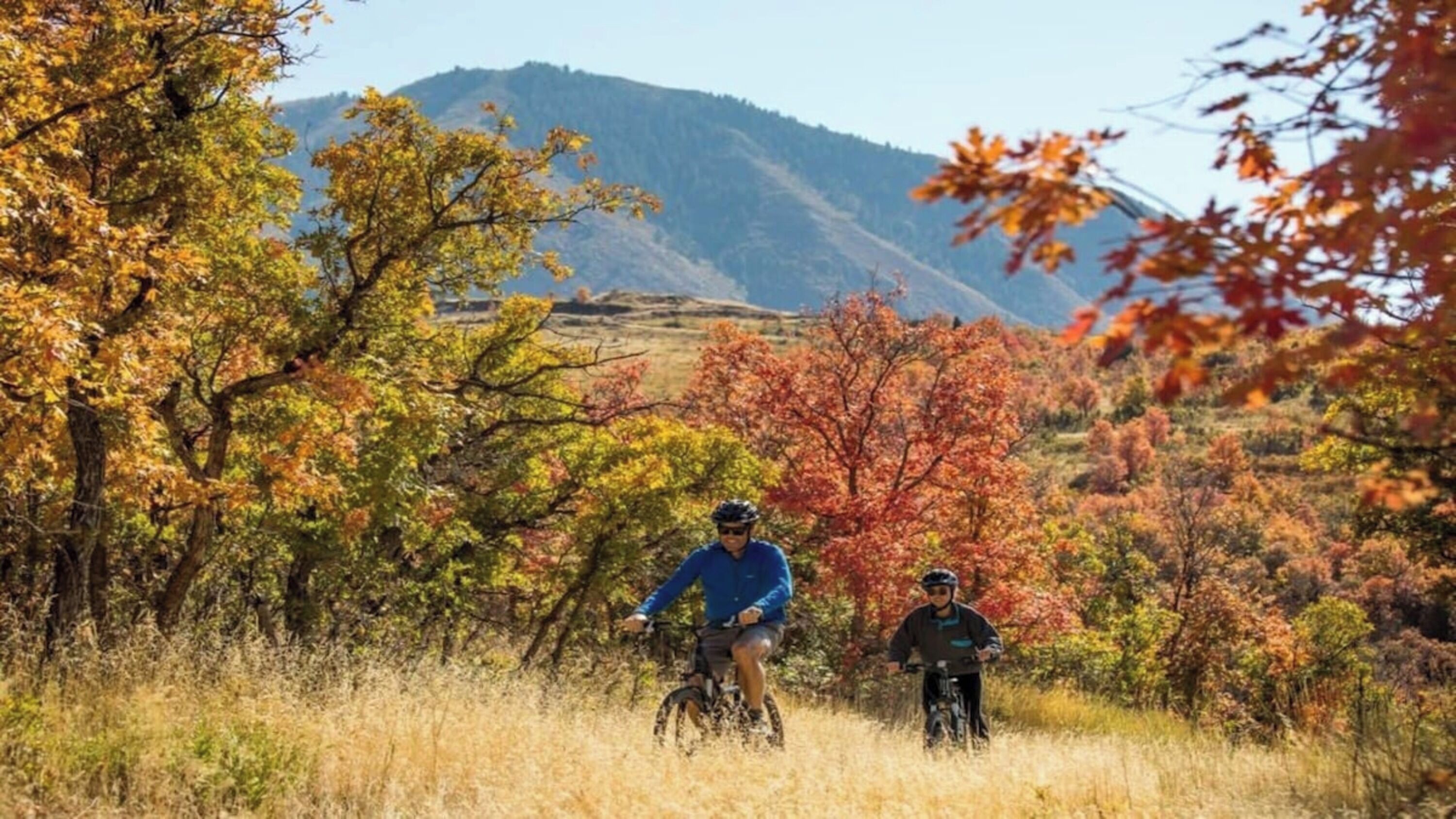 Dos personas en bicicleta en un paisaje natural con árboles y colinas.