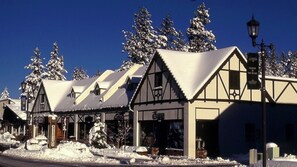 Exterior - Spacious 3BR Chalet (Big Bear Lake)