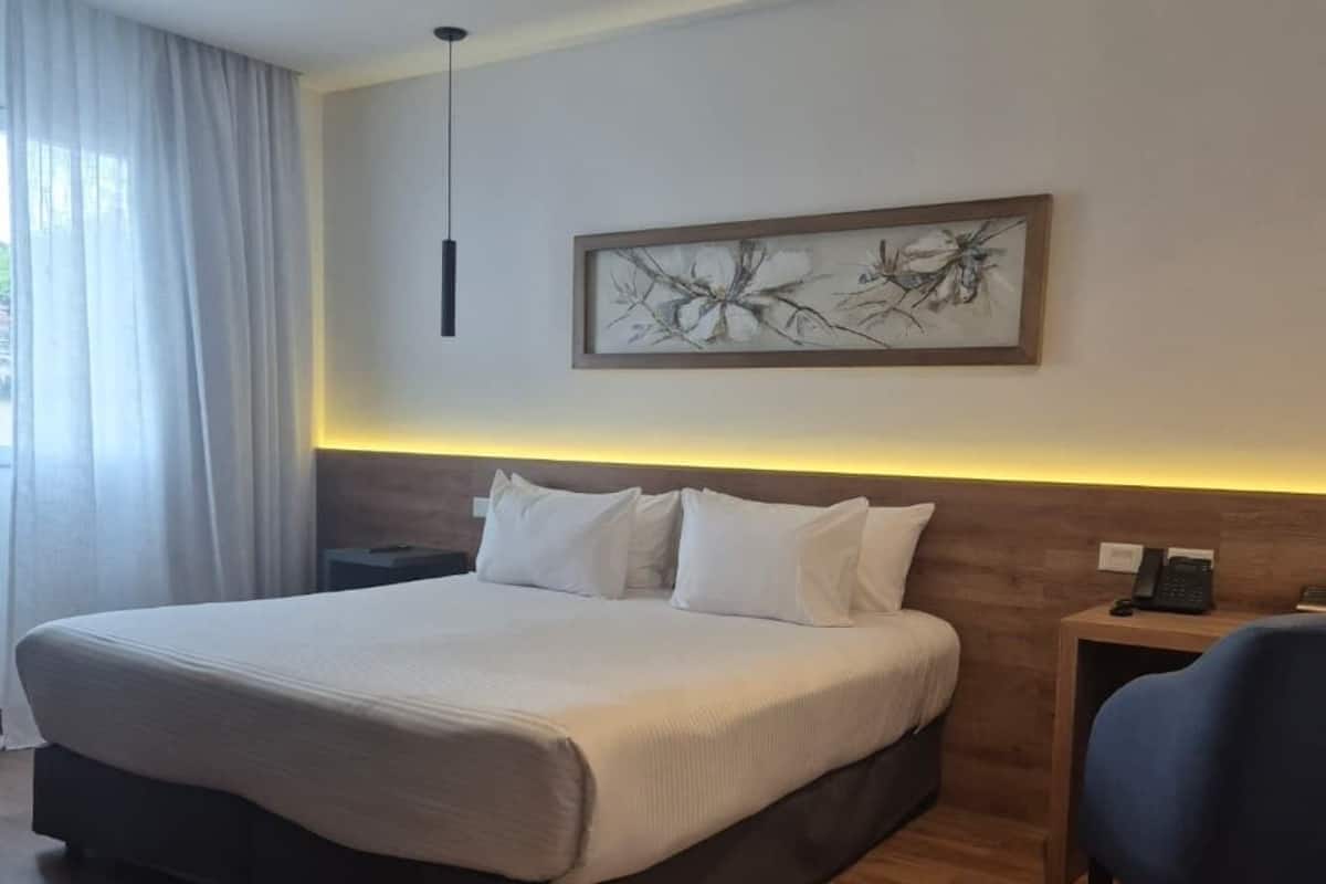 Room, 1 King Bed, Accessible, Non Smoking