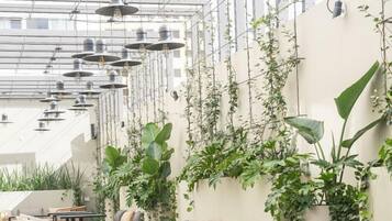 Área para eventos al aire libre