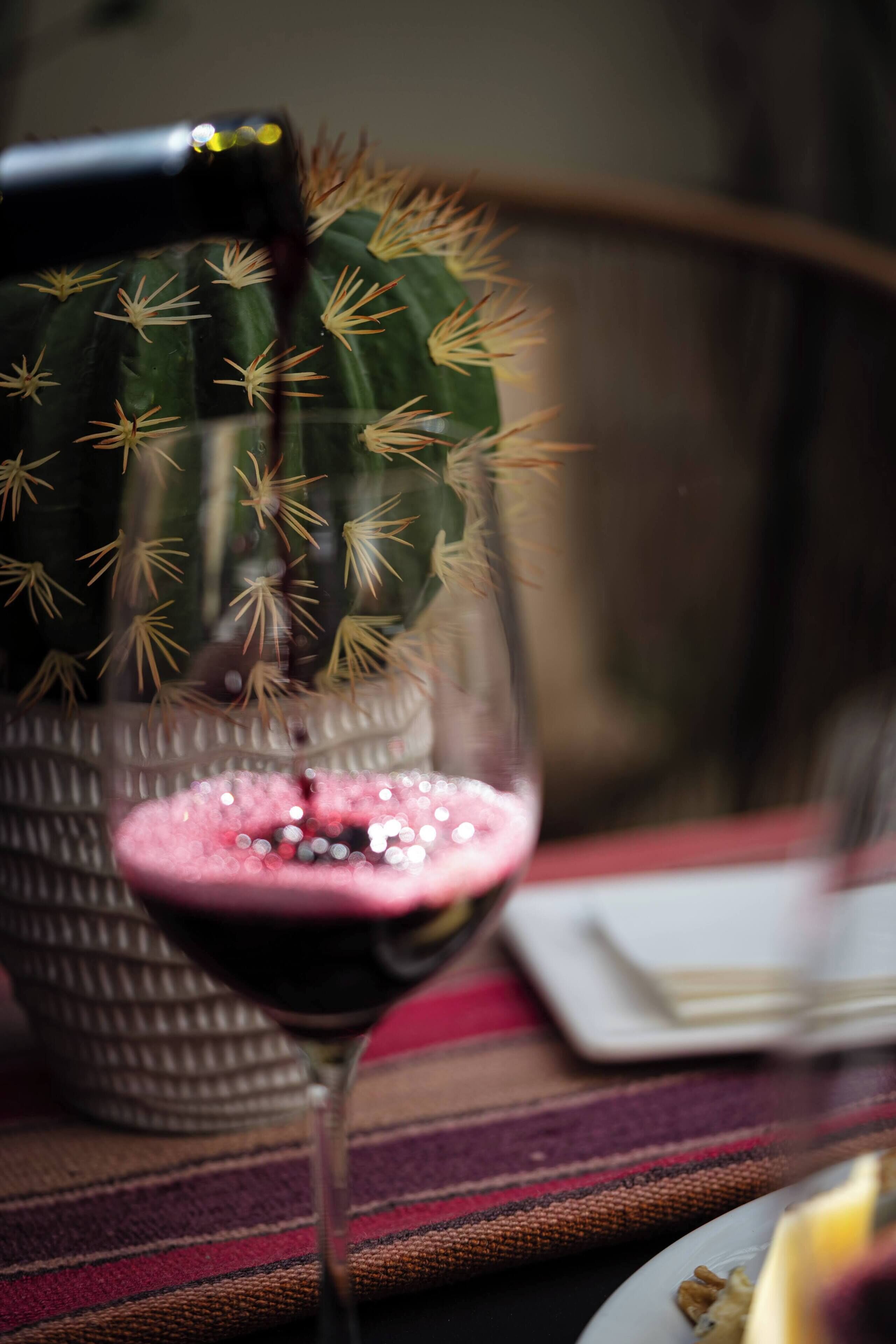 A cactus with spines in a glass.