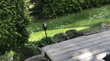 Ulkoalueet