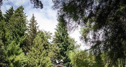 Magical 5 bedroom house over Moreno Lake.
