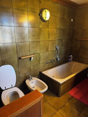 Dusche, Haartrockner, Bidet, Handtücher