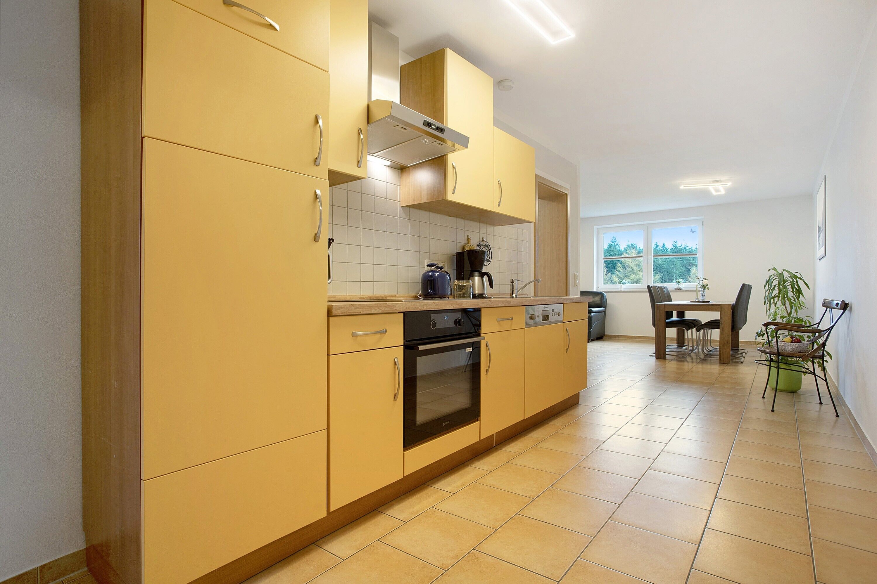 Een koelkast, een oven, een kookplaat, een vaatwasser