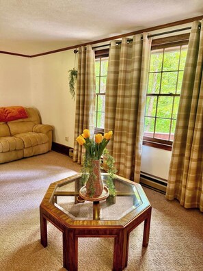 TV, offices - Red Oak Cottage (Sassafras)