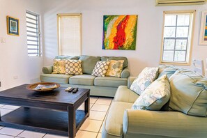 TV - Perfect Hillside Ocean View (St. John's)