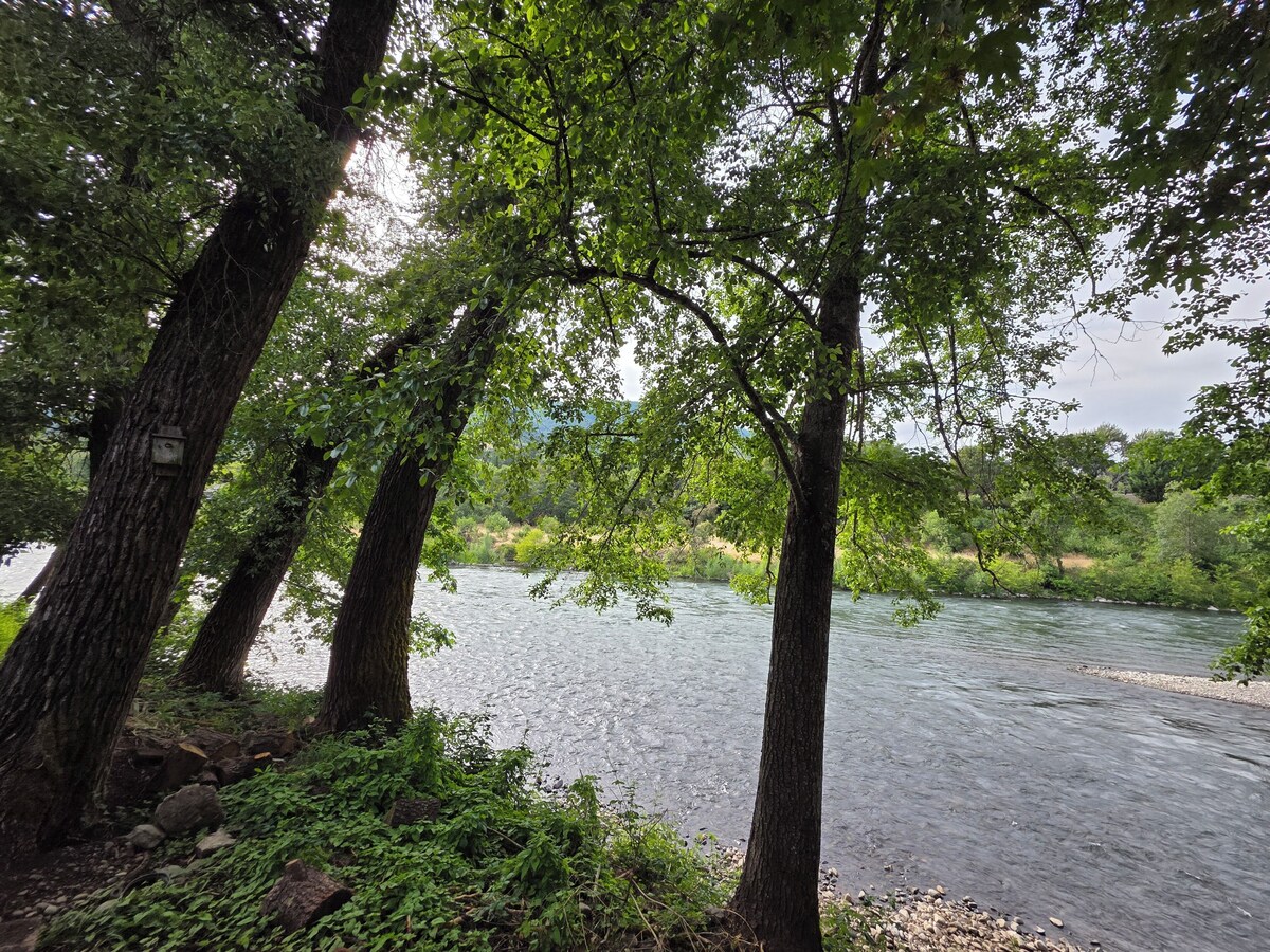 Imagen de perfil del propietario o de la propietaria