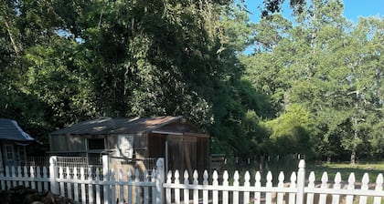 Charming 4-bedroom farmhouse in Magnolia nestled on 2 acres. Miniature horses!
