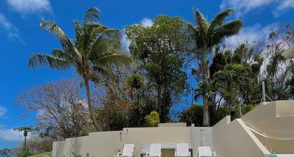 Spacious 5-bedroom villa with fantastic views of Tobago