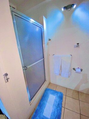 Regadera, toallas, jabón, papel de baño