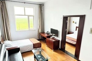 Habitación de hotel con cama, escritorio, televisión y vista a un campo por la ventana.