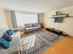 Un salon avec un canapé, un tapis à motifs, un téléviseur et une plante posée sur une étagère.