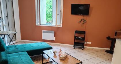 Apartment 32m2 with balcony TOULOUSE RANGUEIL near university, hospital