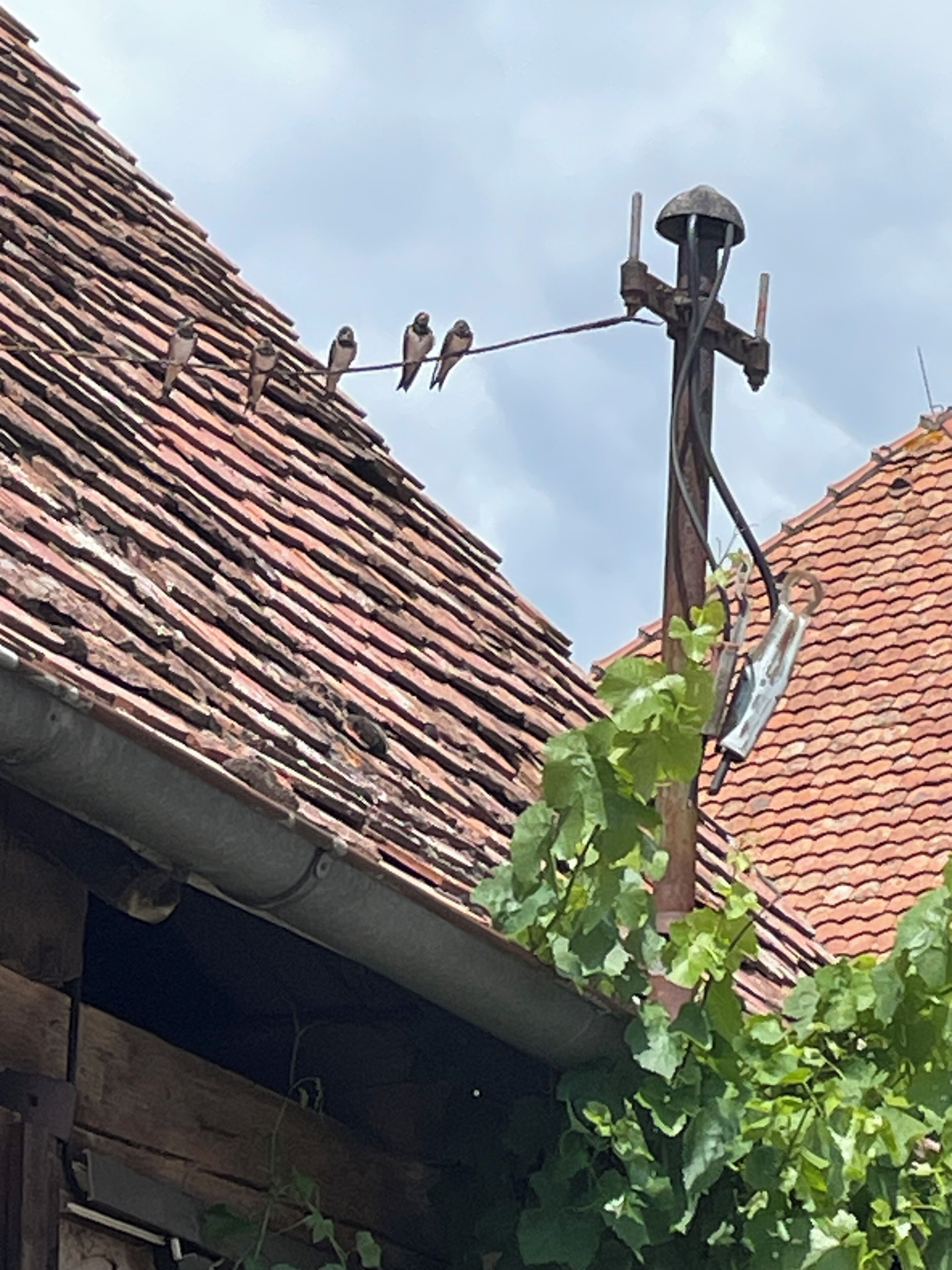A building with a tiled roof and a visible antenna.