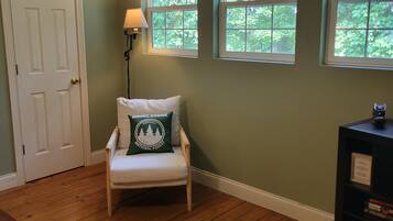 智能电视、壁炉、DVD 播放器、书