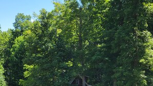 A rustic cabin with a wooden exterior, surrounded by dense green trees. - Cozy Cabin (Burnside)
