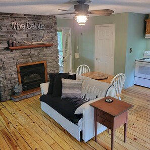 Smart TV, fireplace, DVD player, books