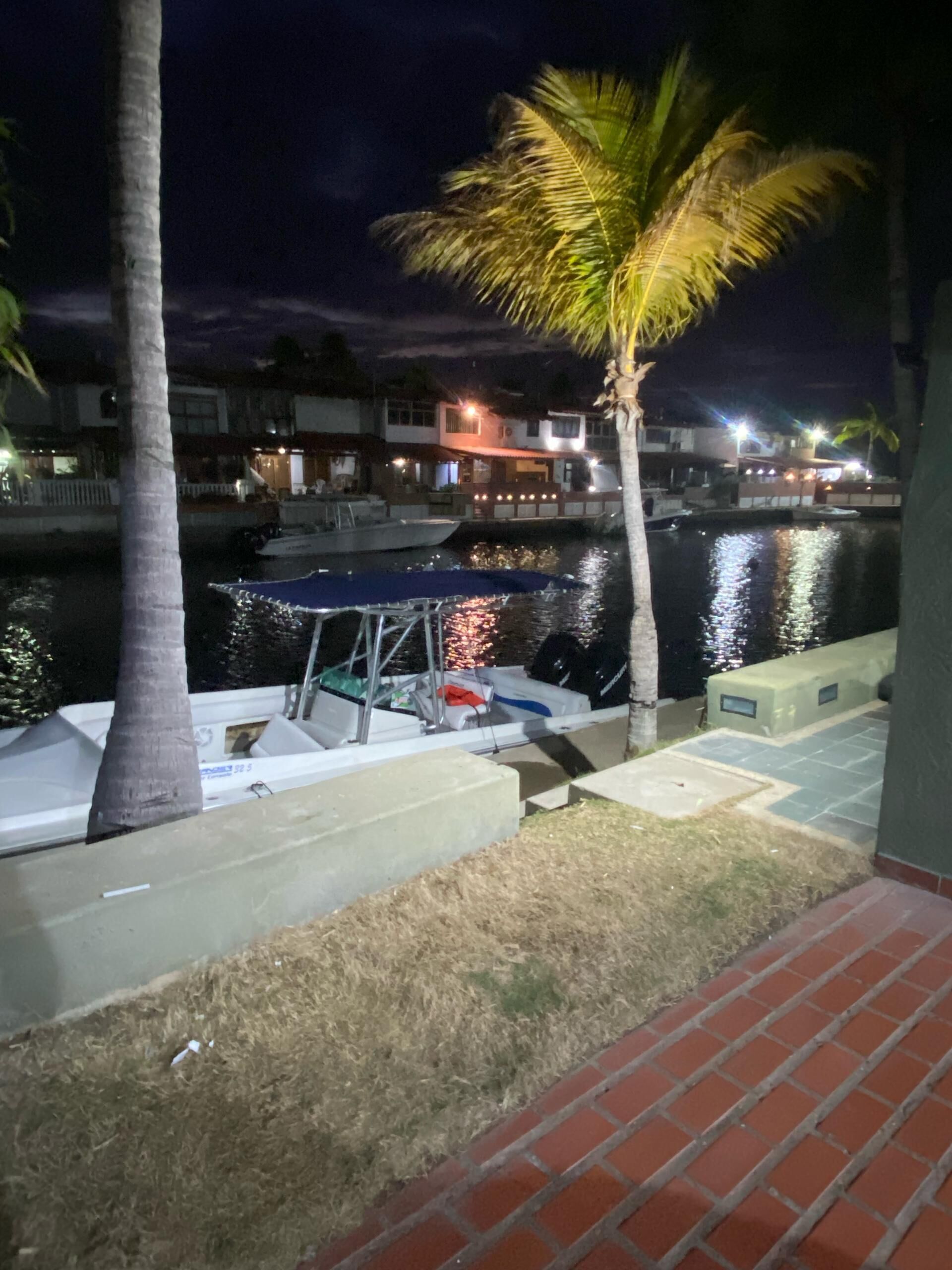 A marina at night with boats docked, a palm tree, and buildings in the background.