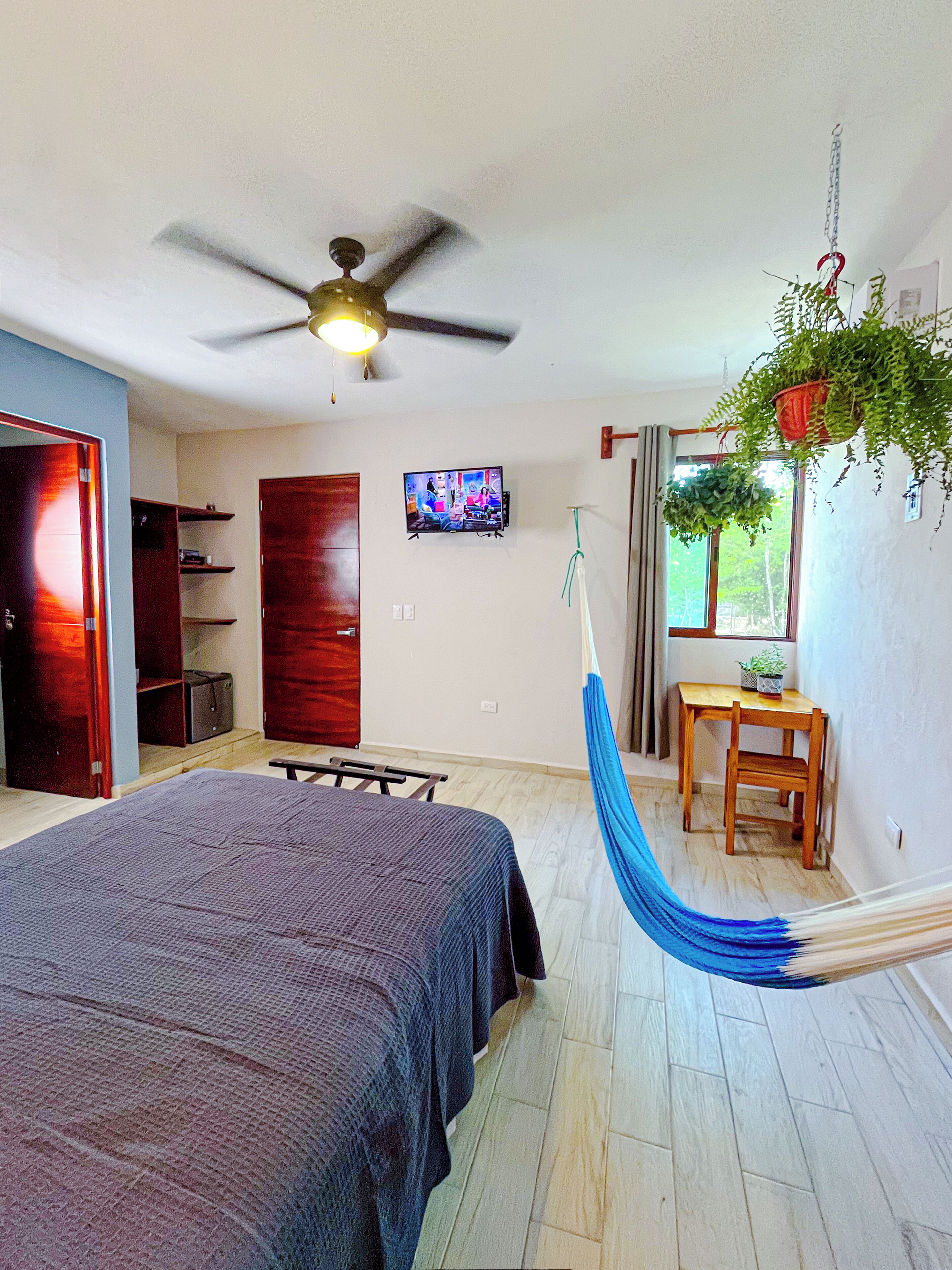 Een slaapkamer met een bed, een televisie, een bureau met stoel, een hangplant en een plafondventilator.