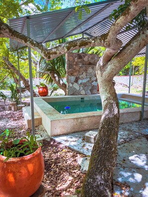 Pool - Santa Clara Ecological Reserve. Exclusive hotel in the jungle. Valladolid Yucatan. (Vallladolid)