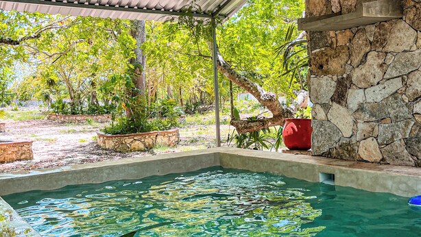 A covered swimming pool with stone walls and a metal roof, surrounded by greenery.