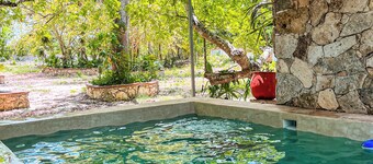 Santa Clara Ecological Reserve. Exclusive hotel in the jungle. Valladolid Yucatan.