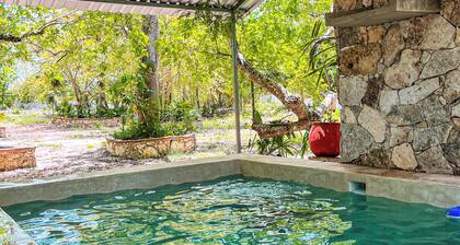 Santa Clara Ecological Reserve. Exclusive hotel in the jungle. Valladolid Yucatan.