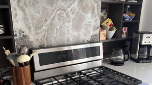 Una cocina con estufa de acero inoxidable, horno y salpicadero de mármol.