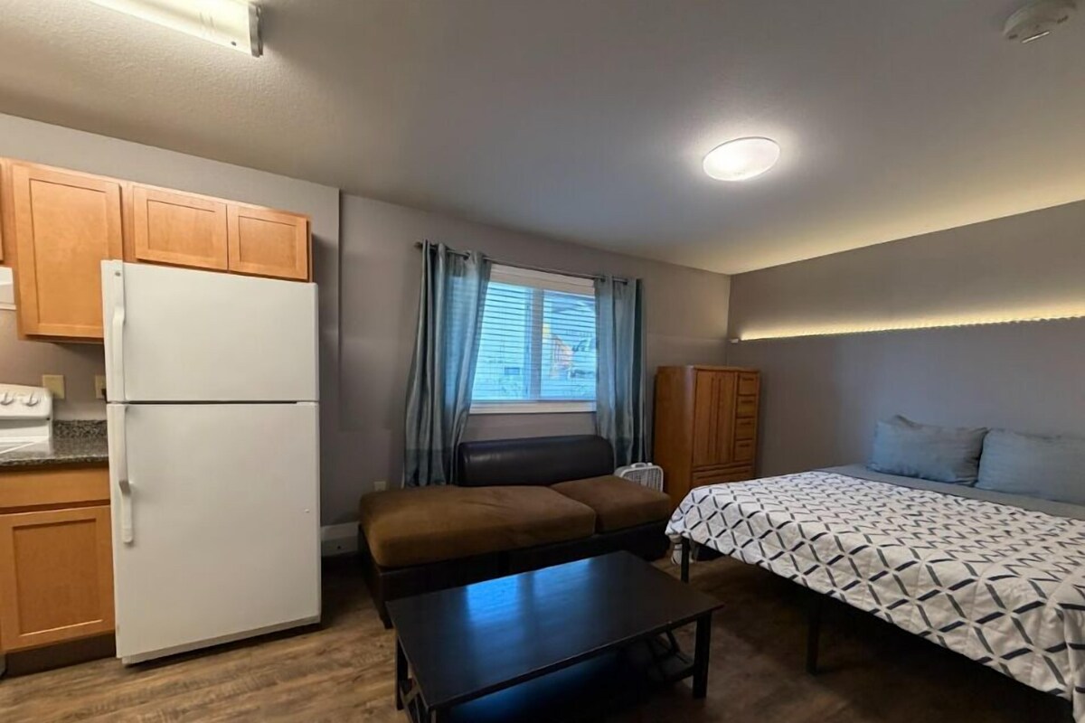 Lark St #102; Studio Apartment with kitchen, Queen Bed | Living area