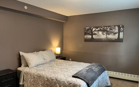 Lark St #101; Apartment with Kitchen, Queen Bed