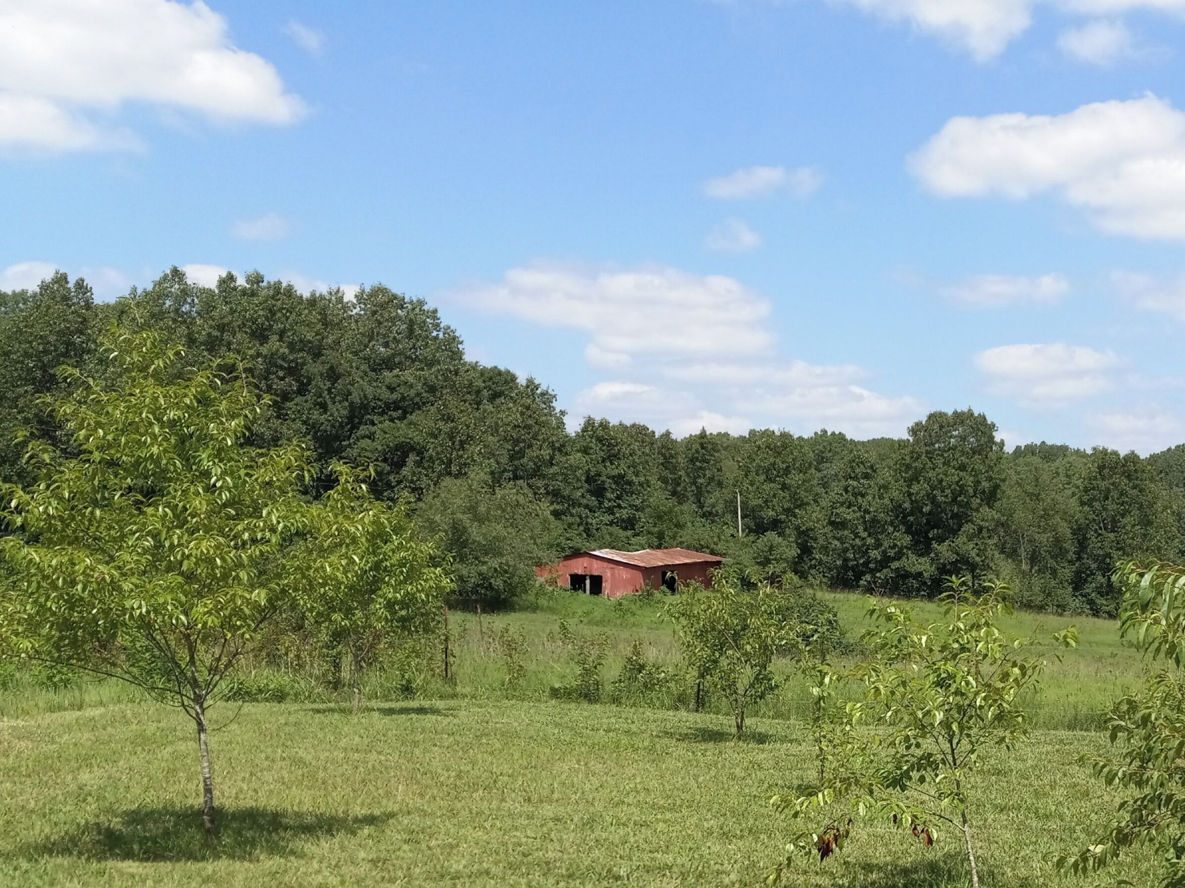 A rural landscape with a small red building surrounded by trees and open fields.