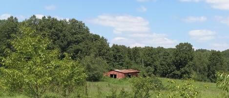 A rural landscape with a small red building surrounded by trees and open fields.