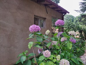 DĂ©tail de lâextĂ©rieur