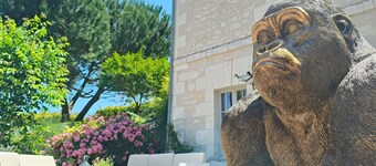 Quiet 6-person lodge 5 km from Beauval zoo with private Jacuzzi.