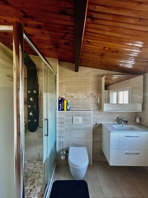Shower, towels, toilet paper