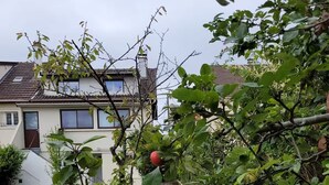Un quartier résidentiel avec une maison, un arbre fruitier et une cour gazonnée.