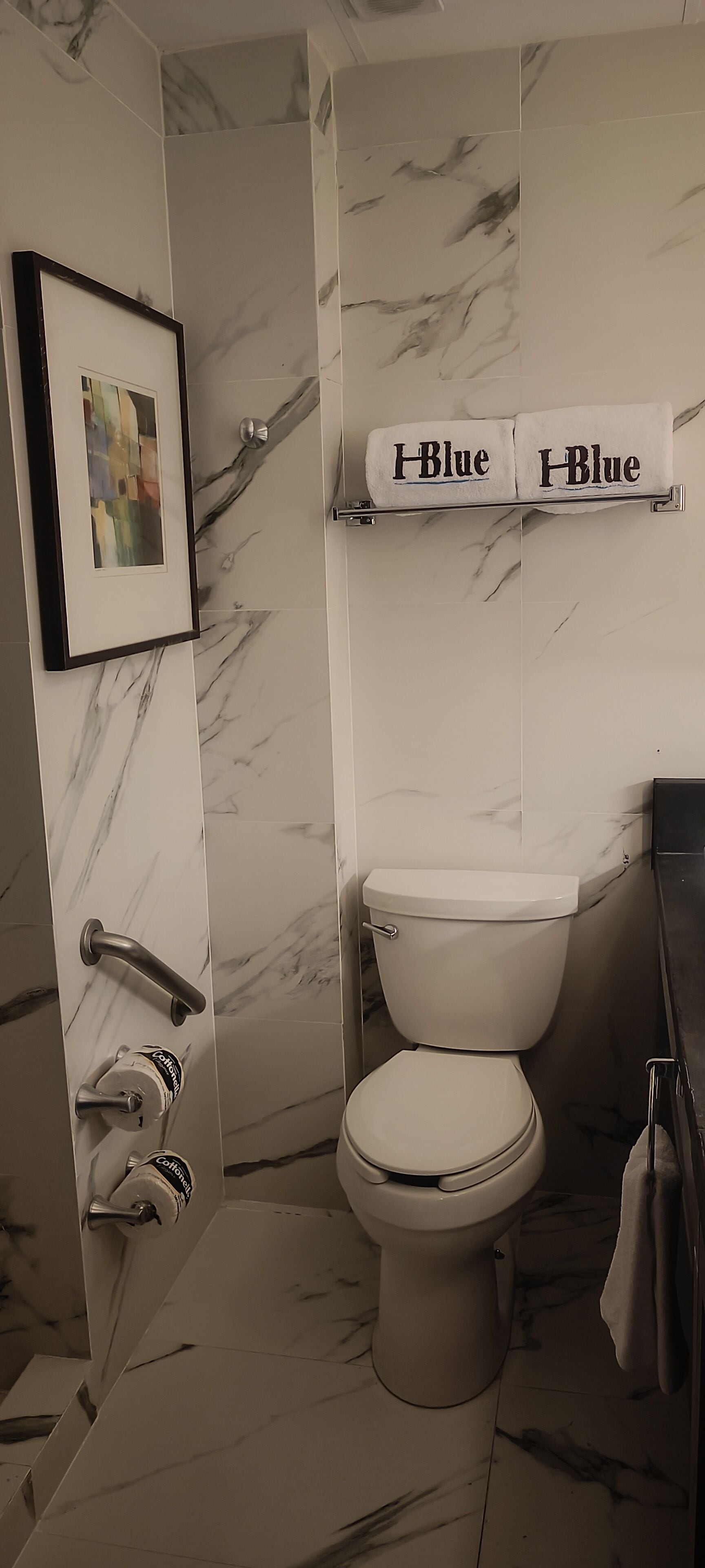 Une salle de bain comprenant des toilettes, un porte-serviettes avec deux serviettes, un tableau encadré au mur et un mur décoré d’un motif imitant le marbre.