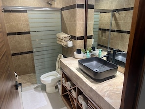 Shower, towels, toilet paper