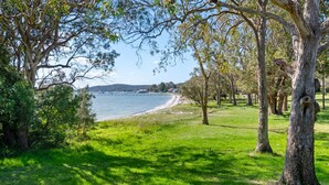 A coastal park with grassy areas, trees, and a view of the sea.