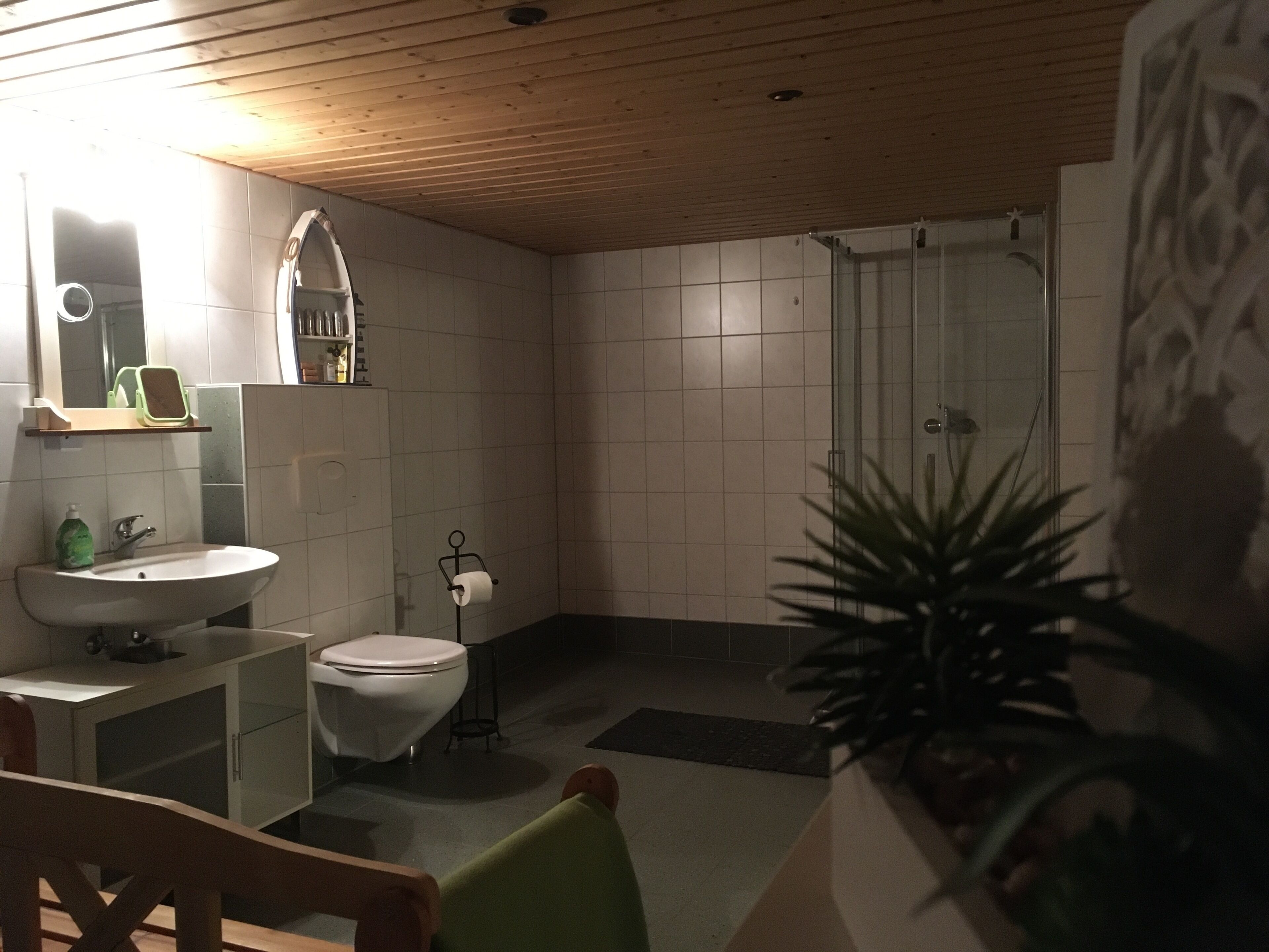 Ducha, secador de pelo, toallas y jabón