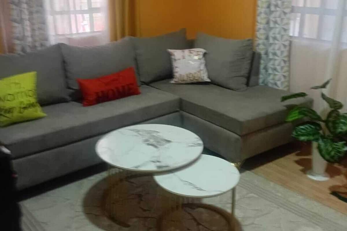 A living room with a grey sofa, two white round tables, a patterned rug, and a potted plant.