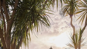A historic building with a tower, surrounded by lush greenery and palm trees.