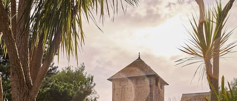 A historic building with a tower, surrounded by lush greenery and palm trees.