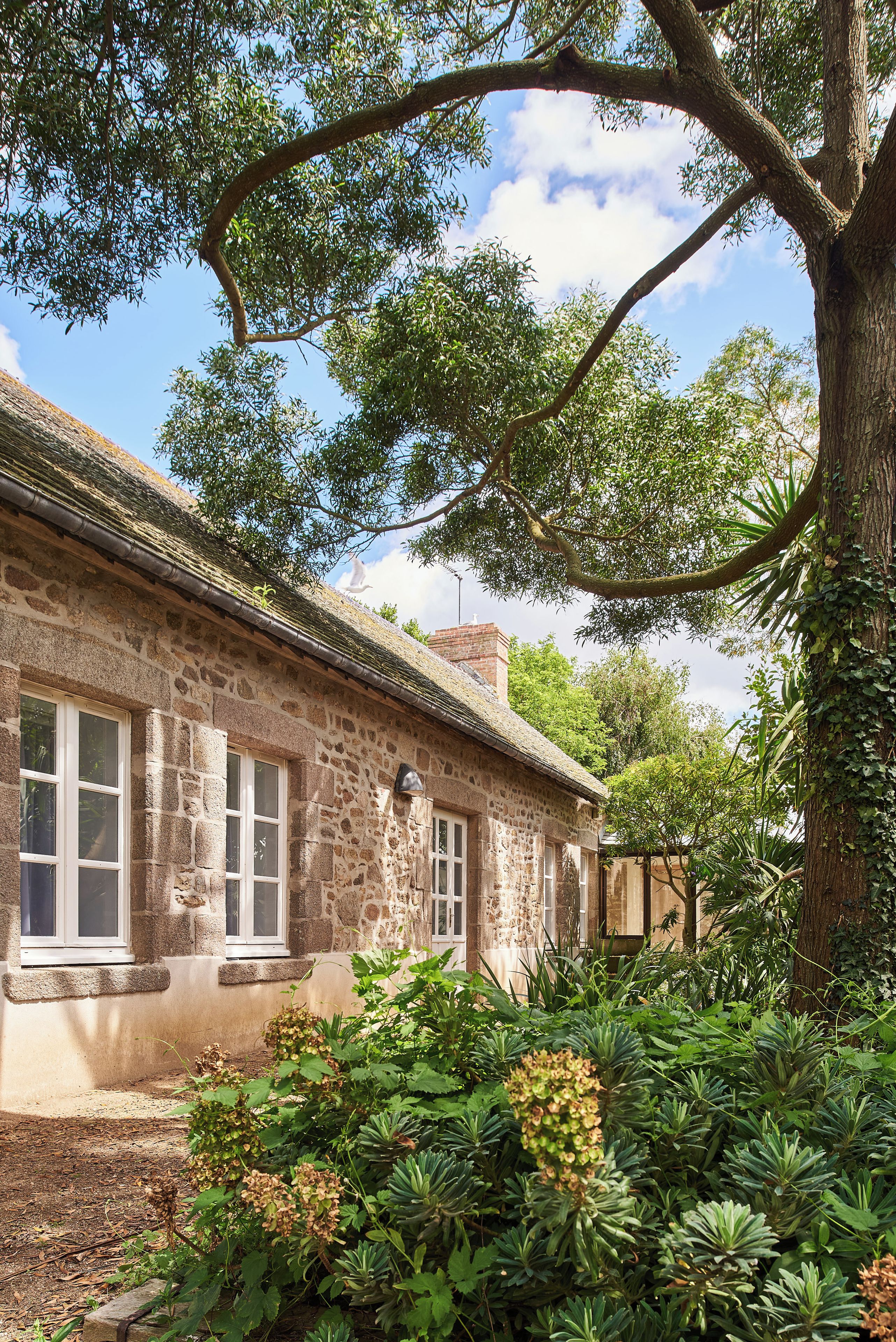 A stone building with a thatched roof, surrounded by lush greenery and trees.