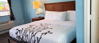 Mountain View Inn Irvine Near Richmond KY