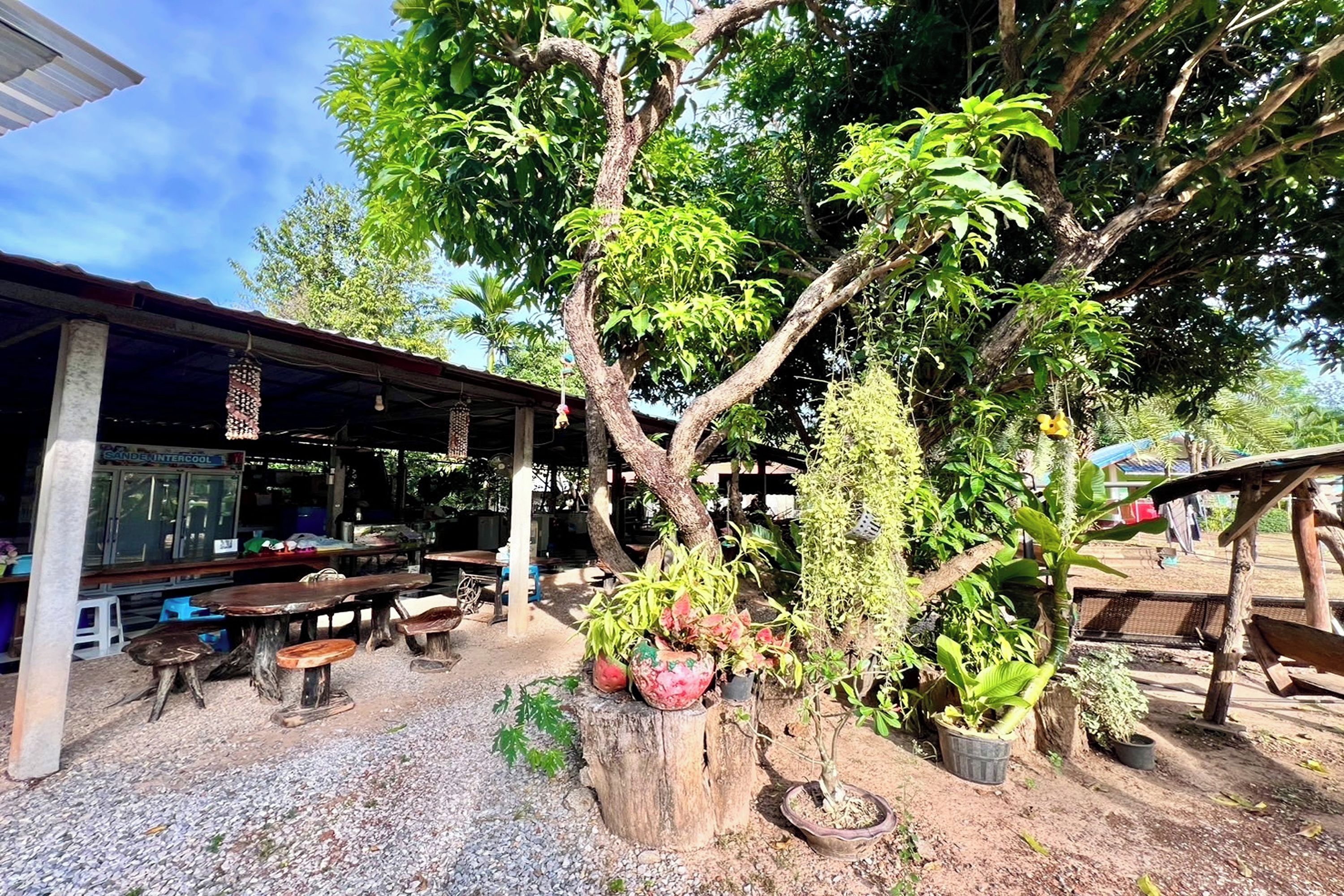 An outdoor seating area with wooden tables and benches, surrounded by potted plants and trees.